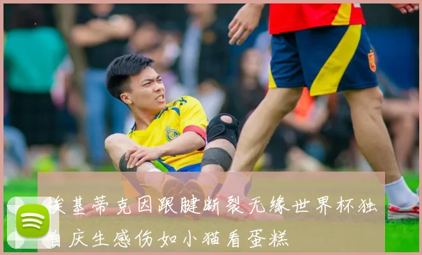 埃基蒂克因跟腱断裂无缘世界杯独自庆生感伤如小猫看蛋糕